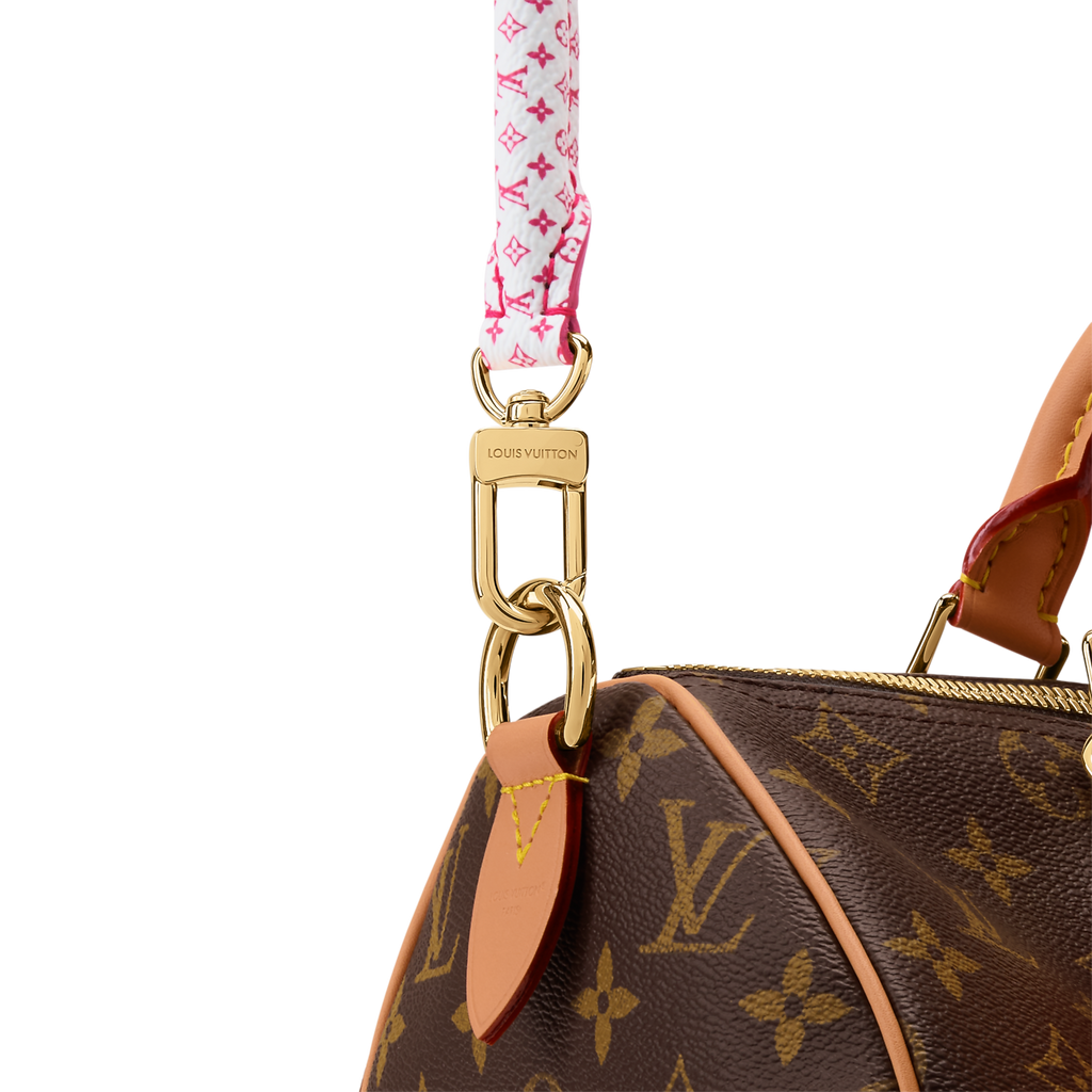 Louis Vuitton Speedy Bandoulière Monogram