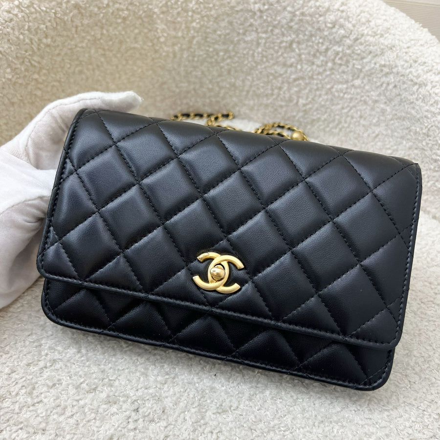 Chanel Mini Flap Bag – Classic Quilted