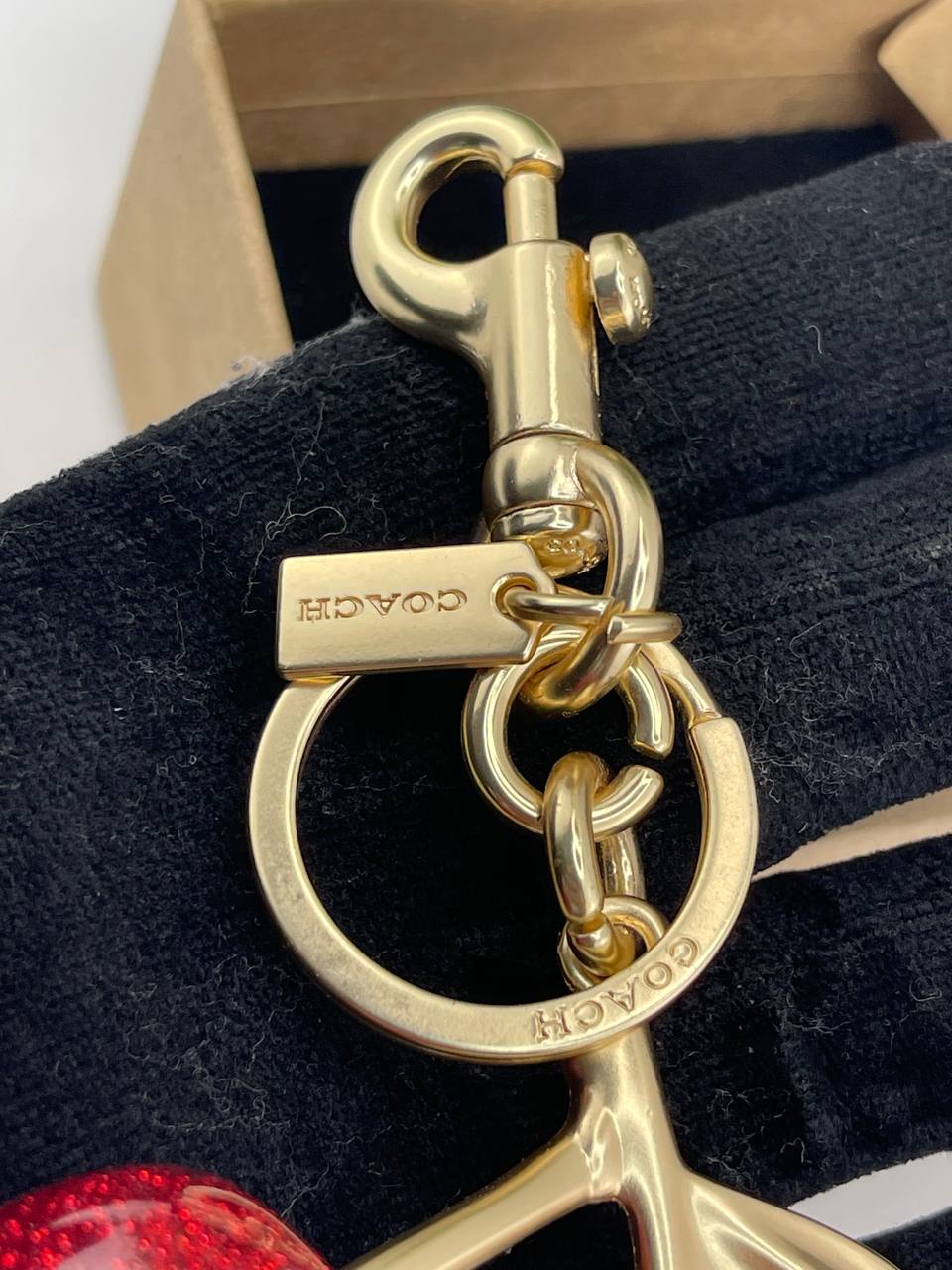 COACH Cherry Bag Charm