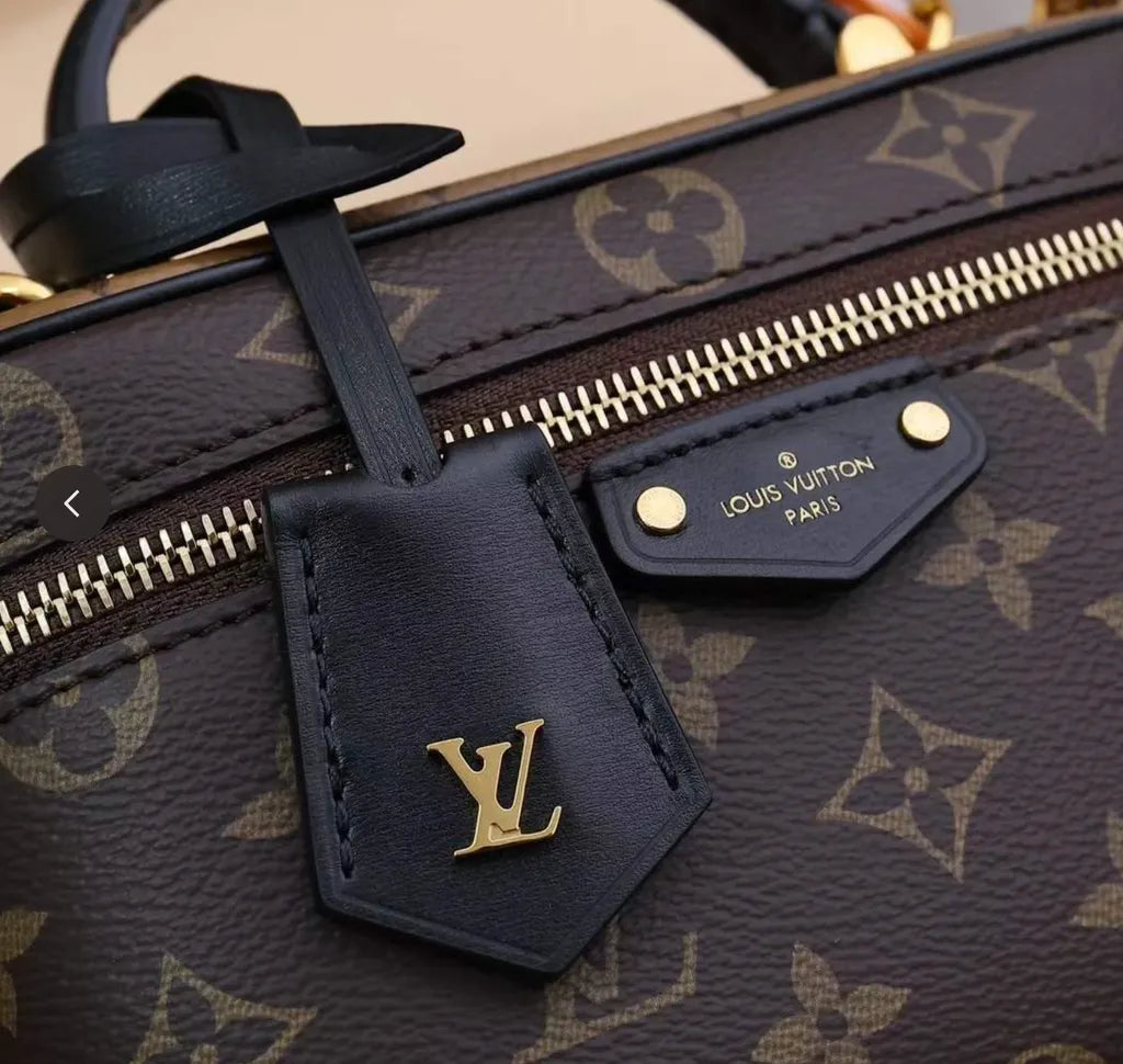 LV BAG Vanity Chain Pouch