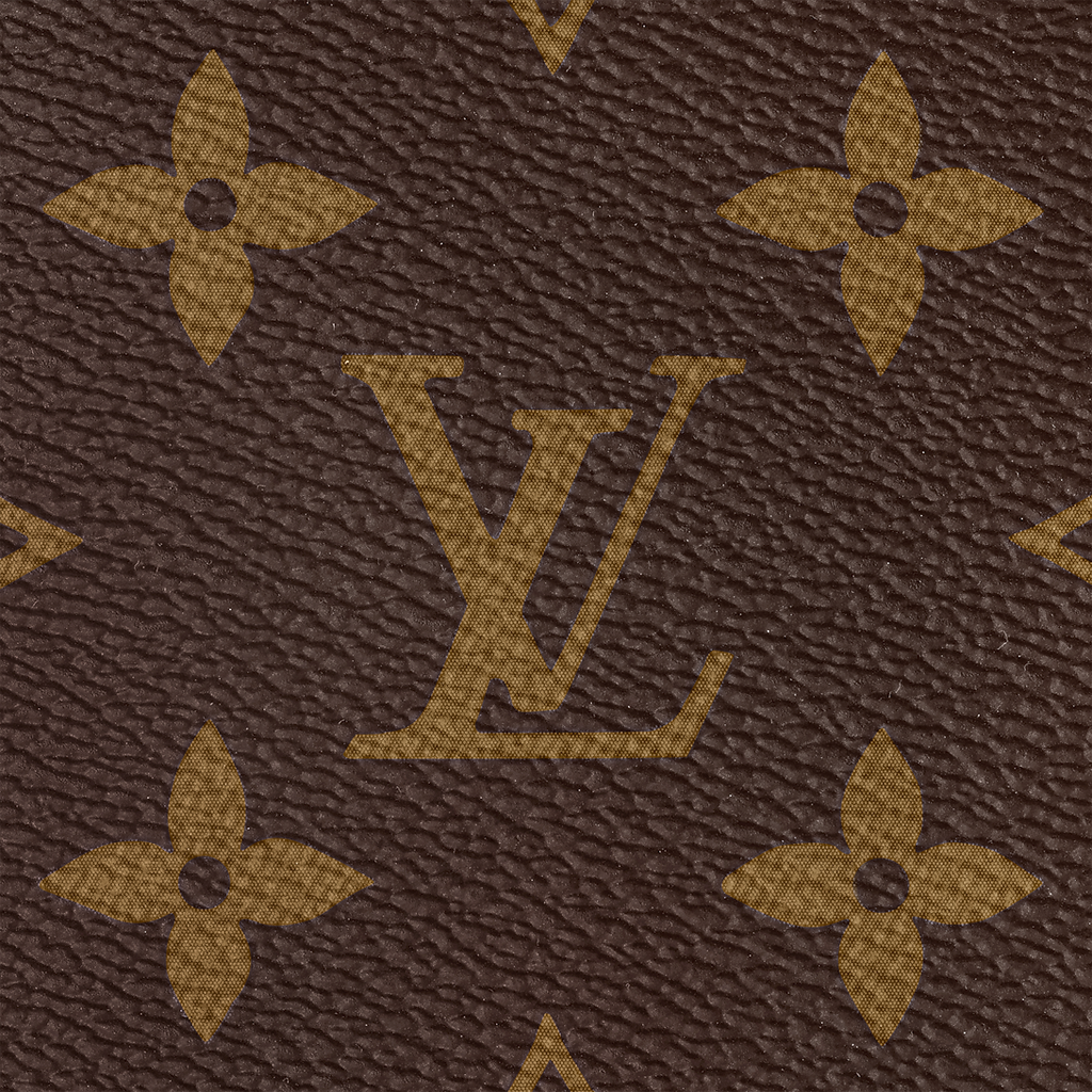 LOUIS VUITTON CARRYALL PM BAG