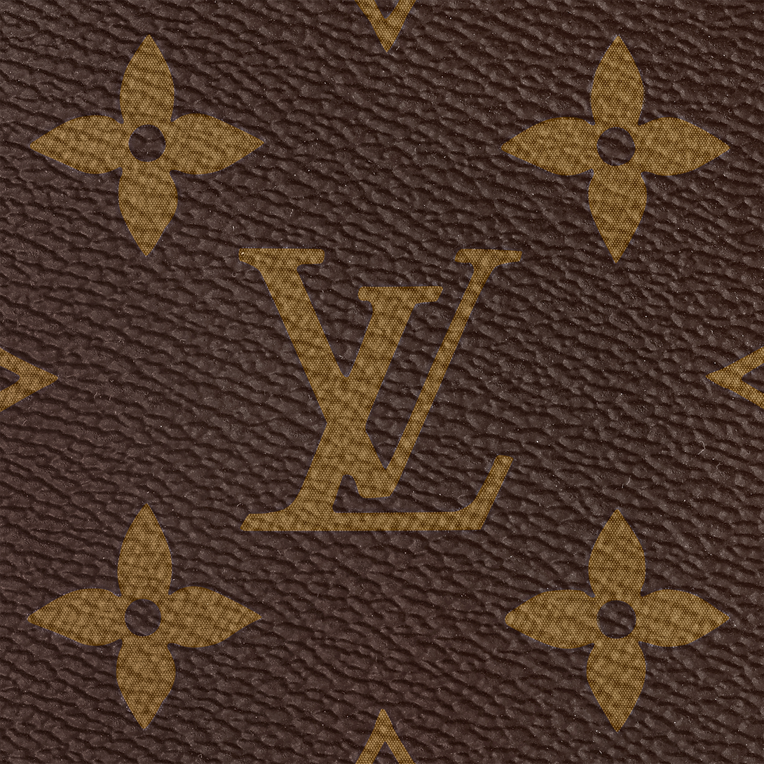 LOUIS VUITTON CARRYALL PM BAG