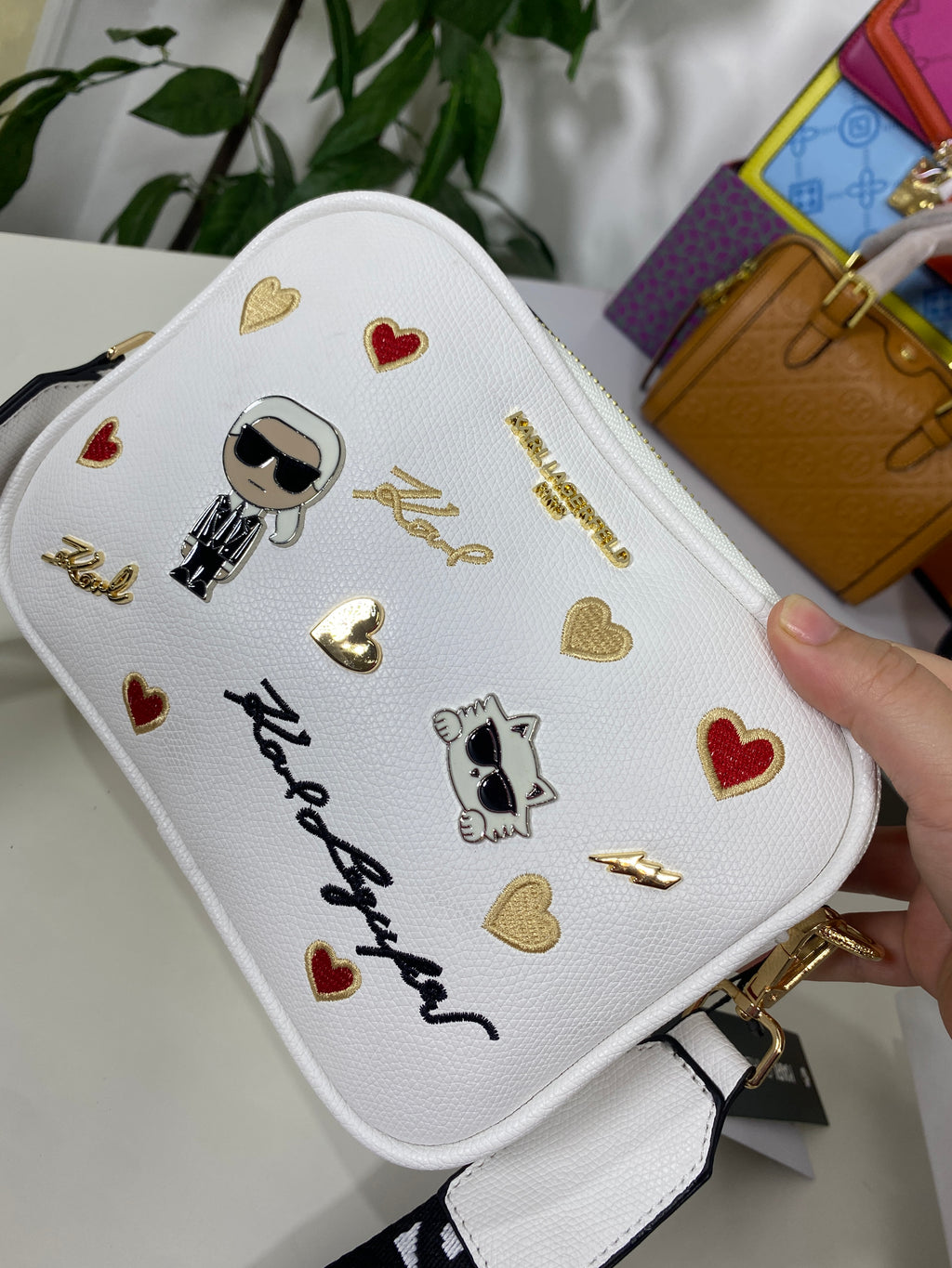 Karl Lagerfeld Crossbody Bag