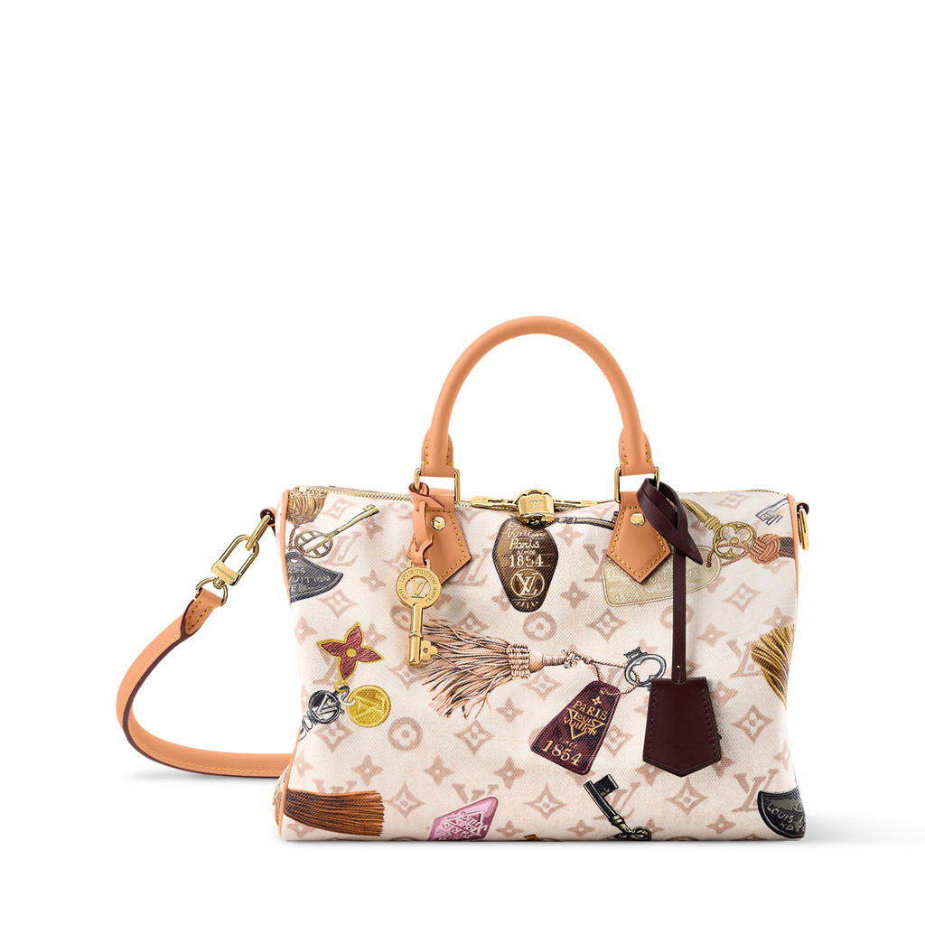 Louis Vuitton Speedy Bandoulière 30 Room with a View