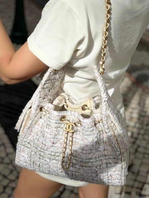CHANEL 25 Tweed Hobo Bag