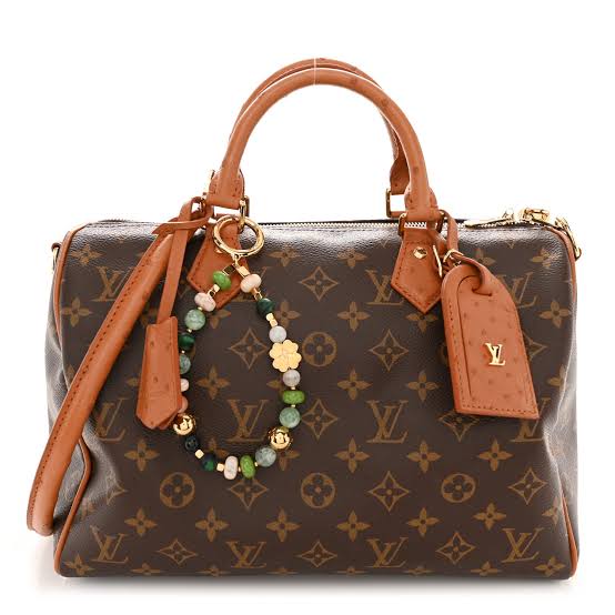 Louis Vuitton Speedy Bandoulière Monogram