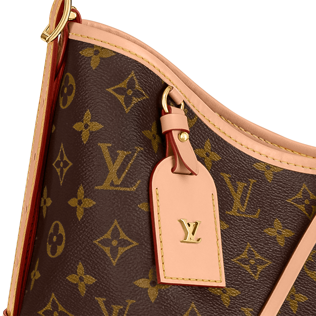 LOUIS VUITTON CARRYALL PM BAG