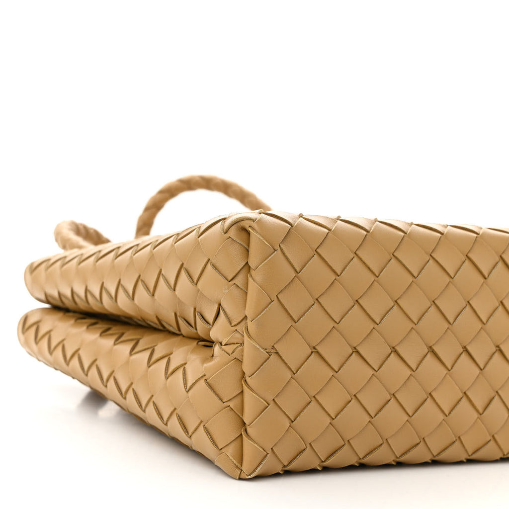 Bottega Veneta Andiamo Intrecciato Tote Bag (X Large)