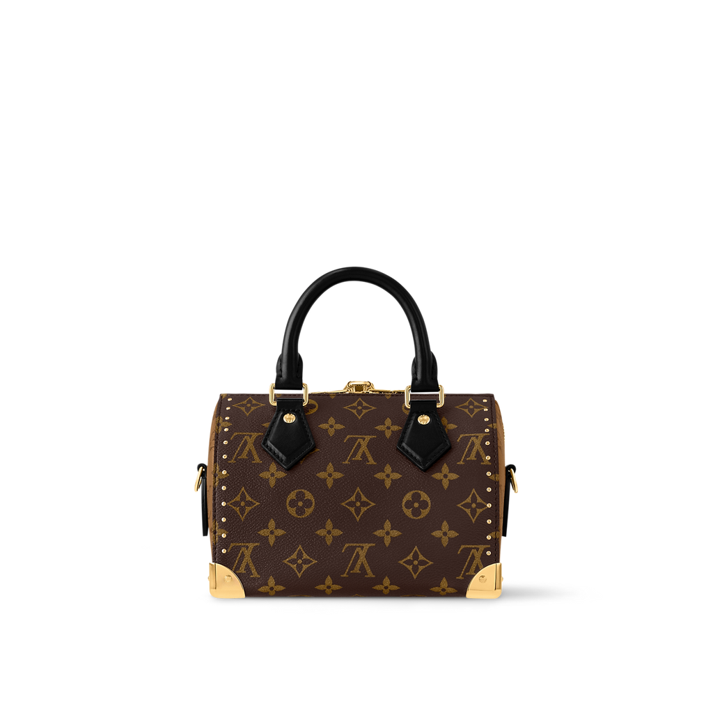 Louis Vuitton Speedy Bandoulière 20 Monogram Mix