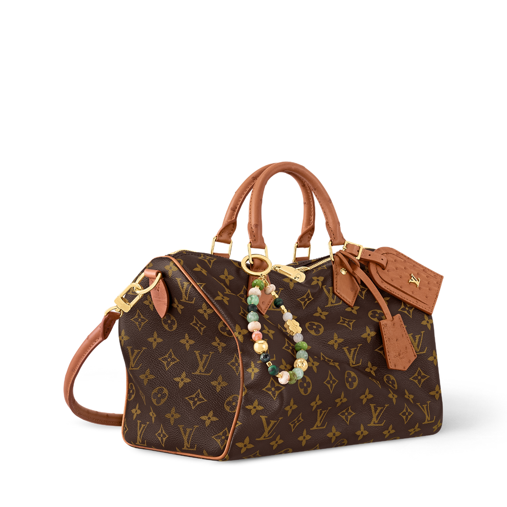 Louis Vuitton Speedy Bandoulière Monogram