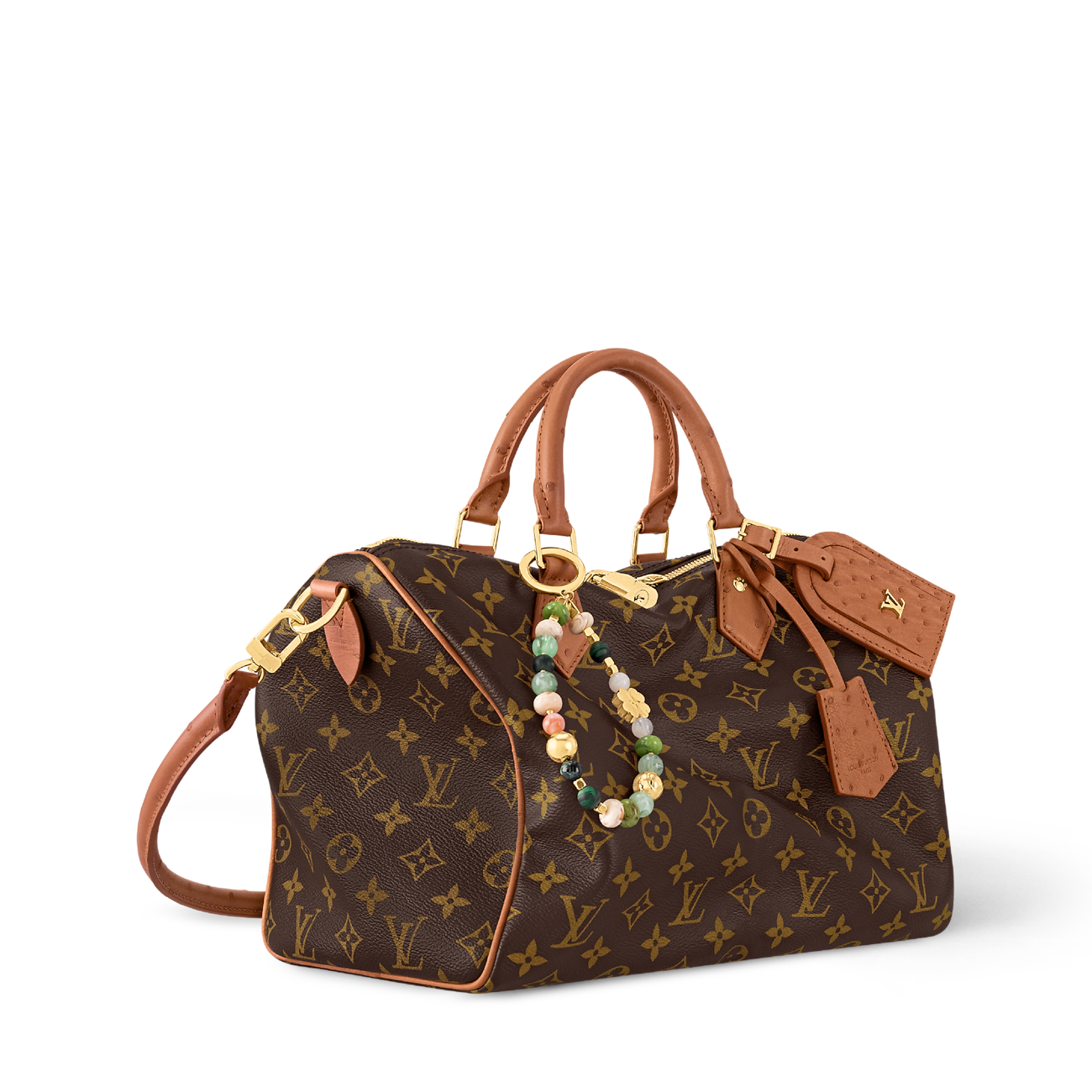 Louis Vuitton Speedy Bandoulière Monogram