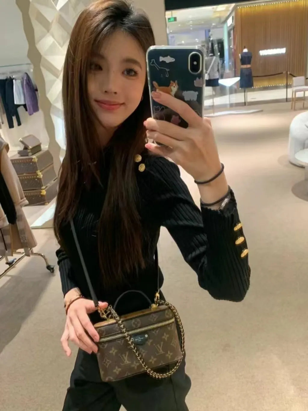 LV BAG Vanity Chain Pouch