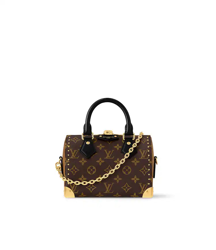 Louis Vuitton Speedy Bandoulière 20 Monogram Mix