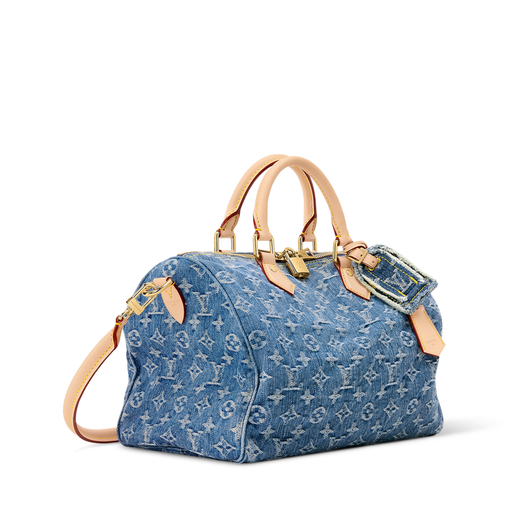 Louis Vuitton Denim Speedy