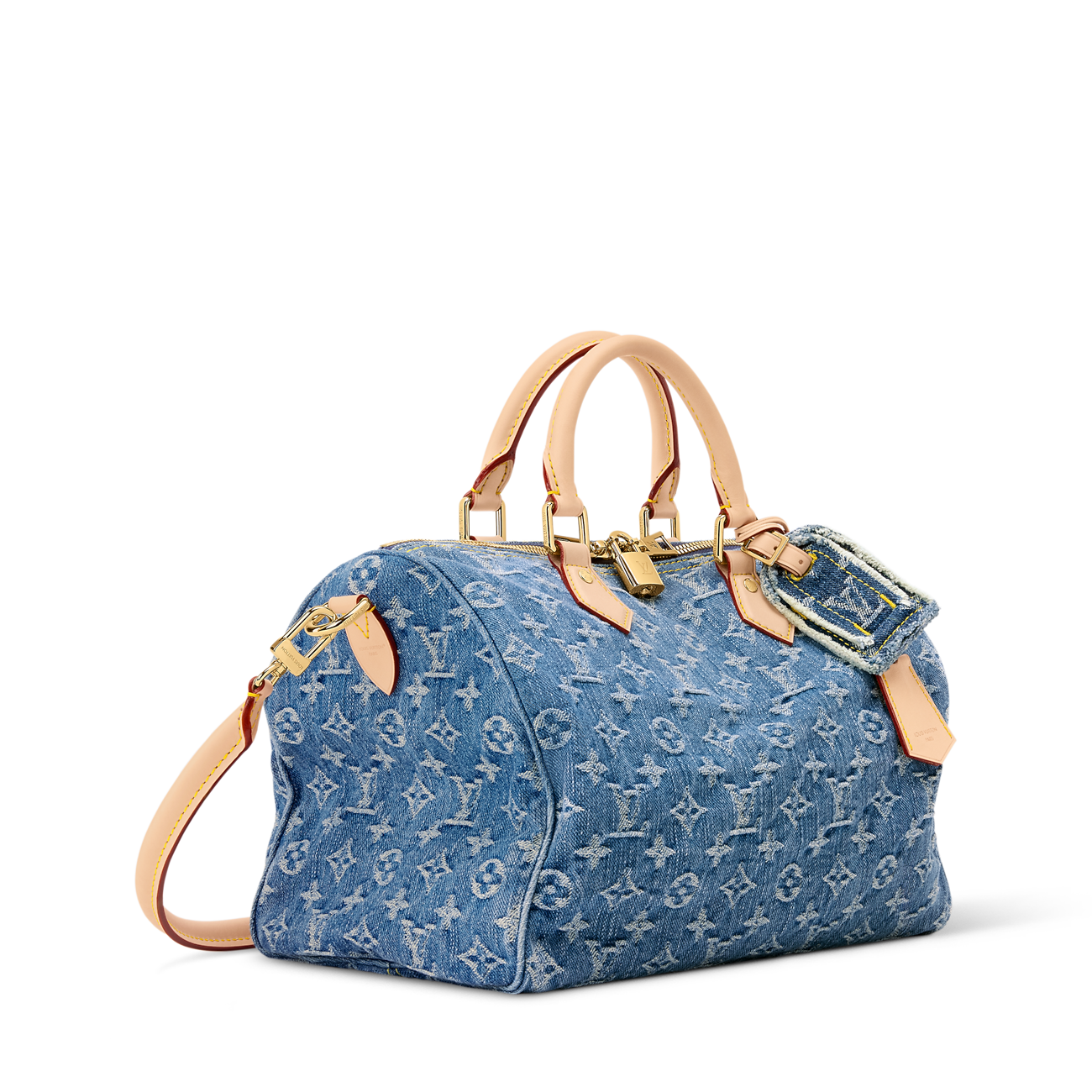 Louis Vuitton Denim Speedy