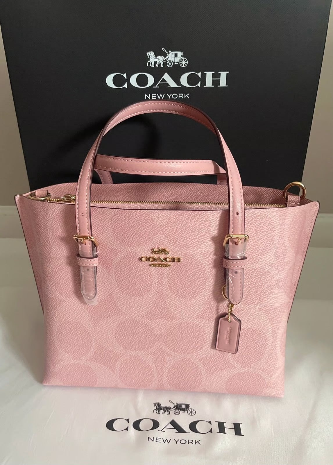 COACH Mollie Tote Bag 25 In Signature Canvas