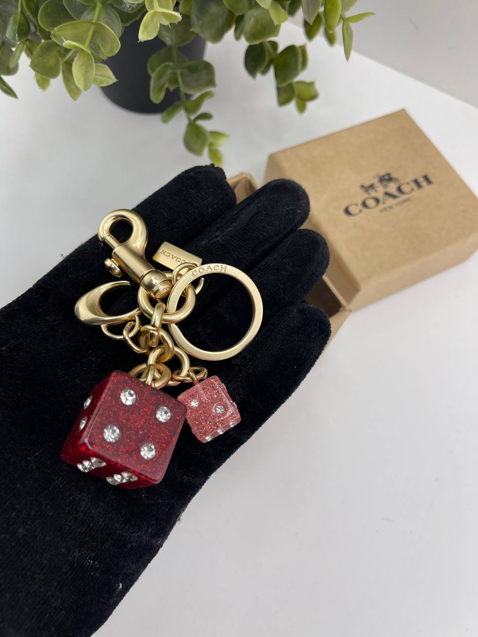 Coach Dice Cluster Bag Charm