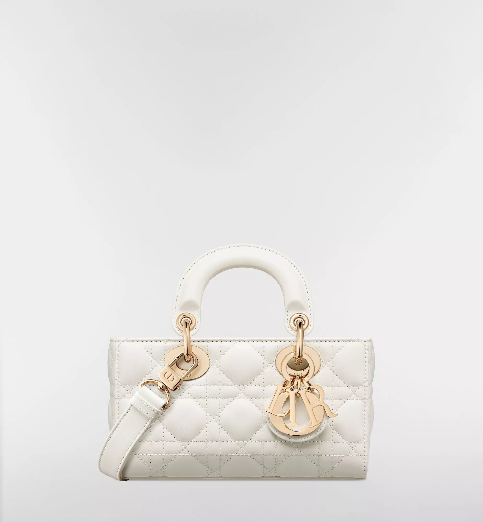 Lady Dior Joy Bag