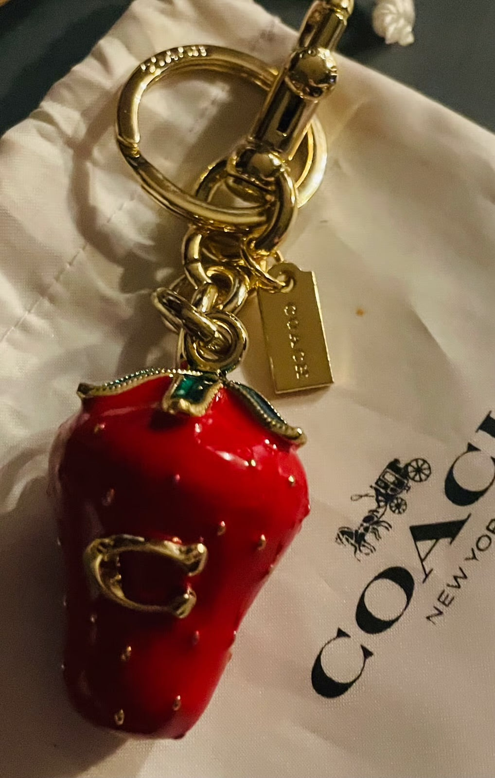 Coach Strawberry Bag Charm