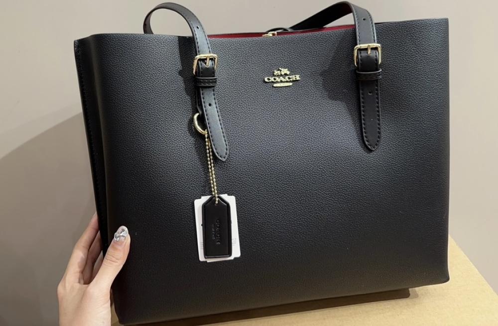 Coach Mollie Tote - Large Signature Edition