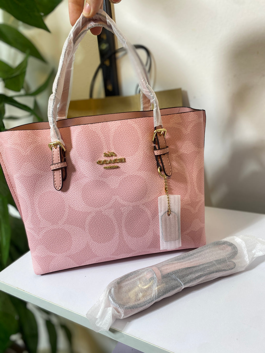 COACH Mollie Tote Bag 25 In Signature Canvas