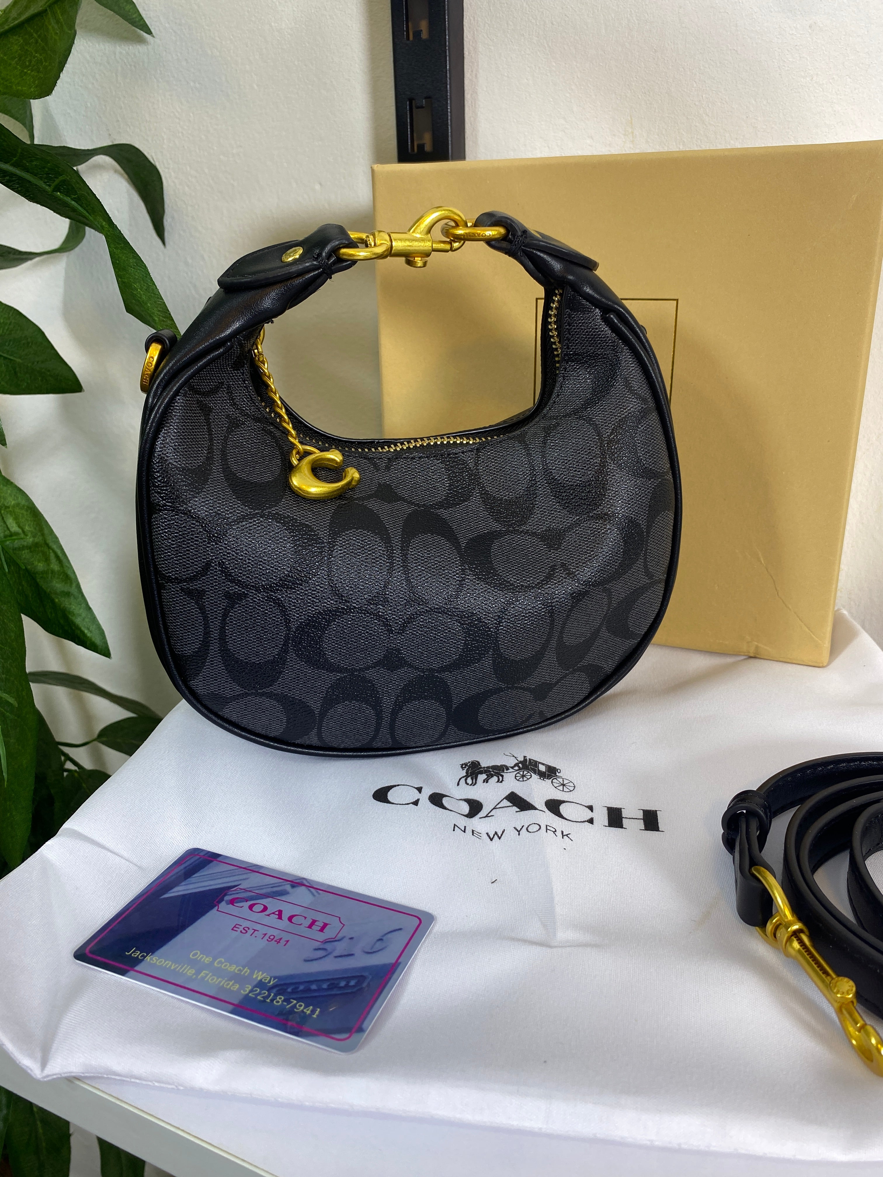 Coach Mini Luna Bag