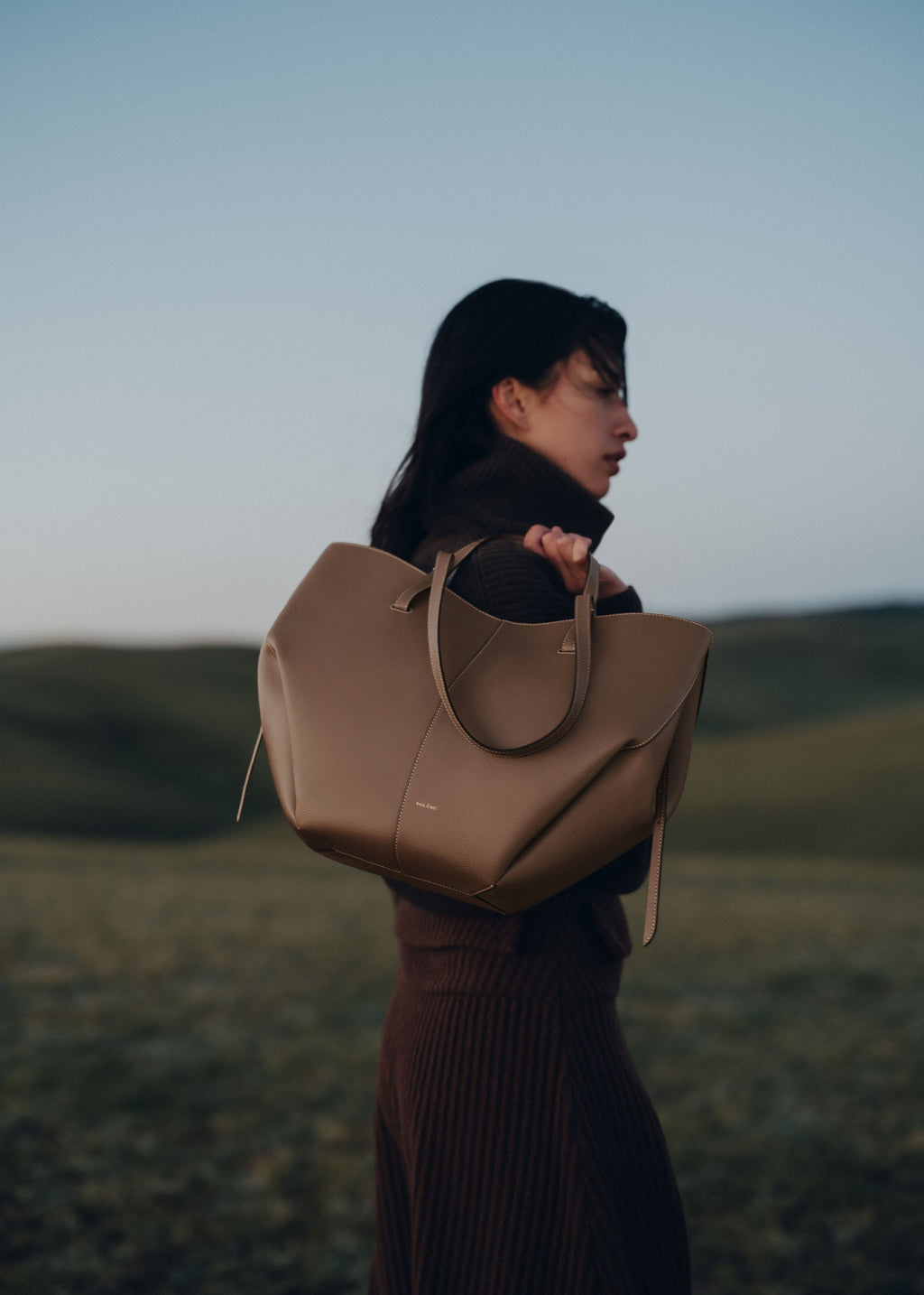 Polène Small Tote Bag