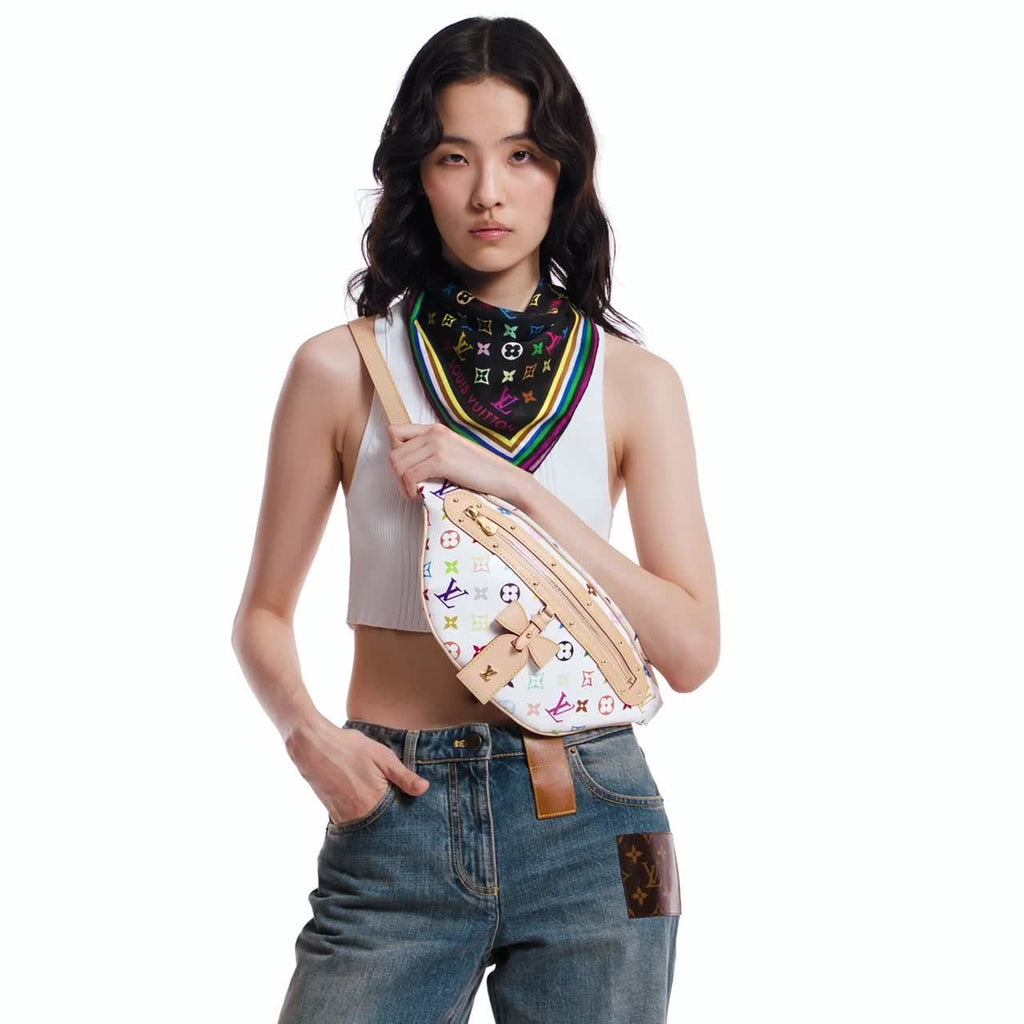 Louis Vuitton Multicolor Belt Bag