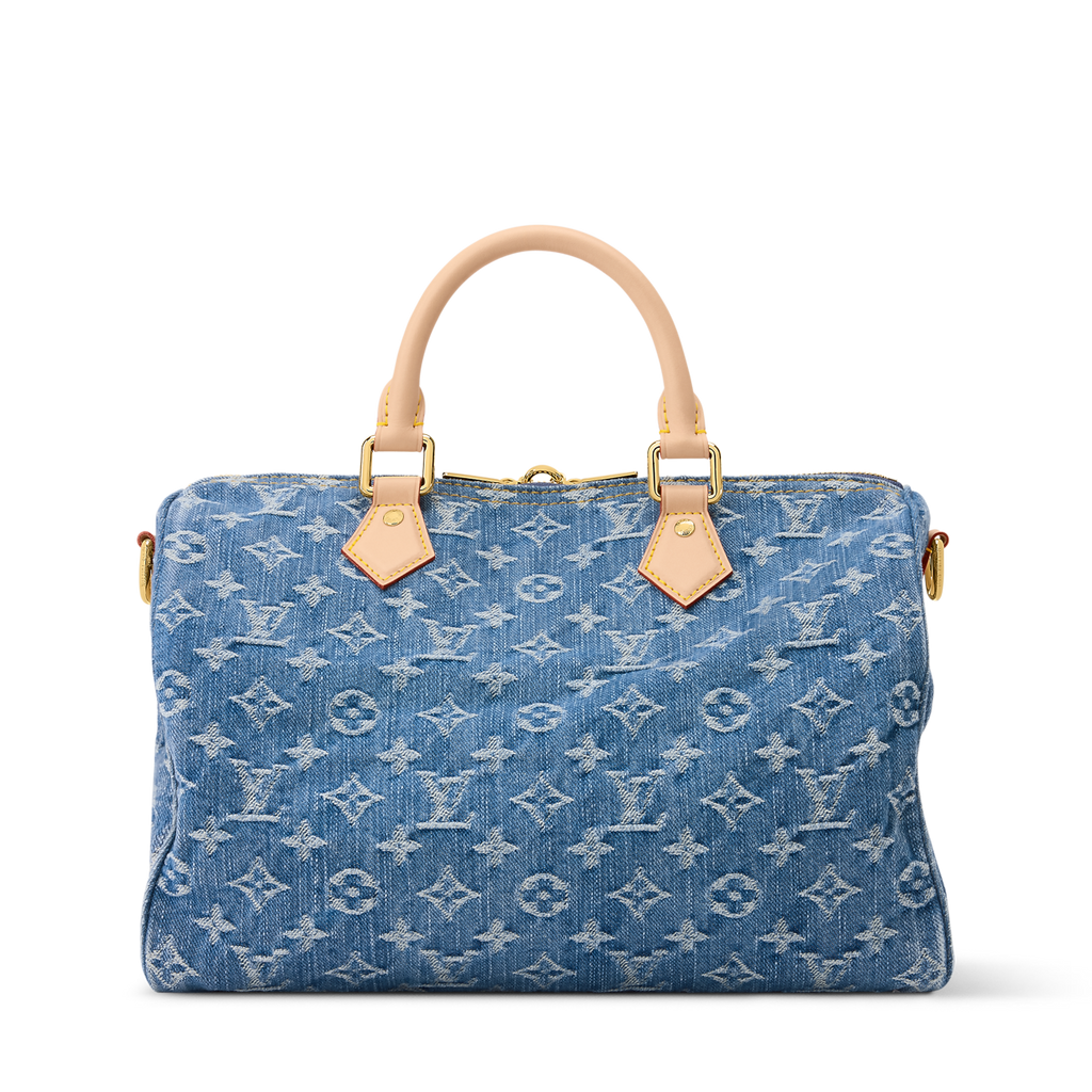 Louis Vuitton Denim Speedy