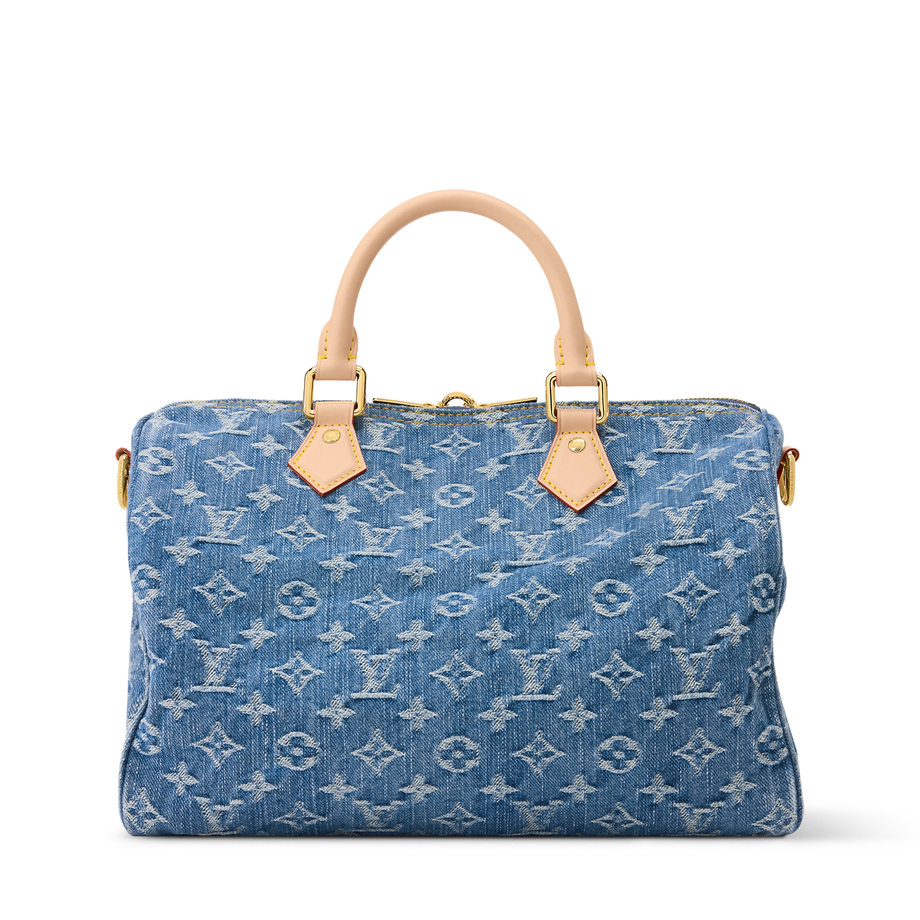 Louis Vuitton Denim Speedy