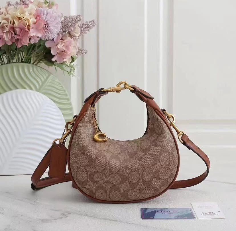 Coach Mini Luna Bag