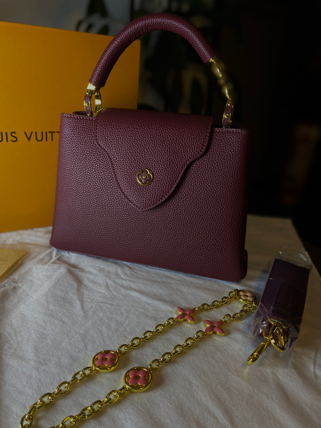 Louis Vuitton Capucines Style Bag