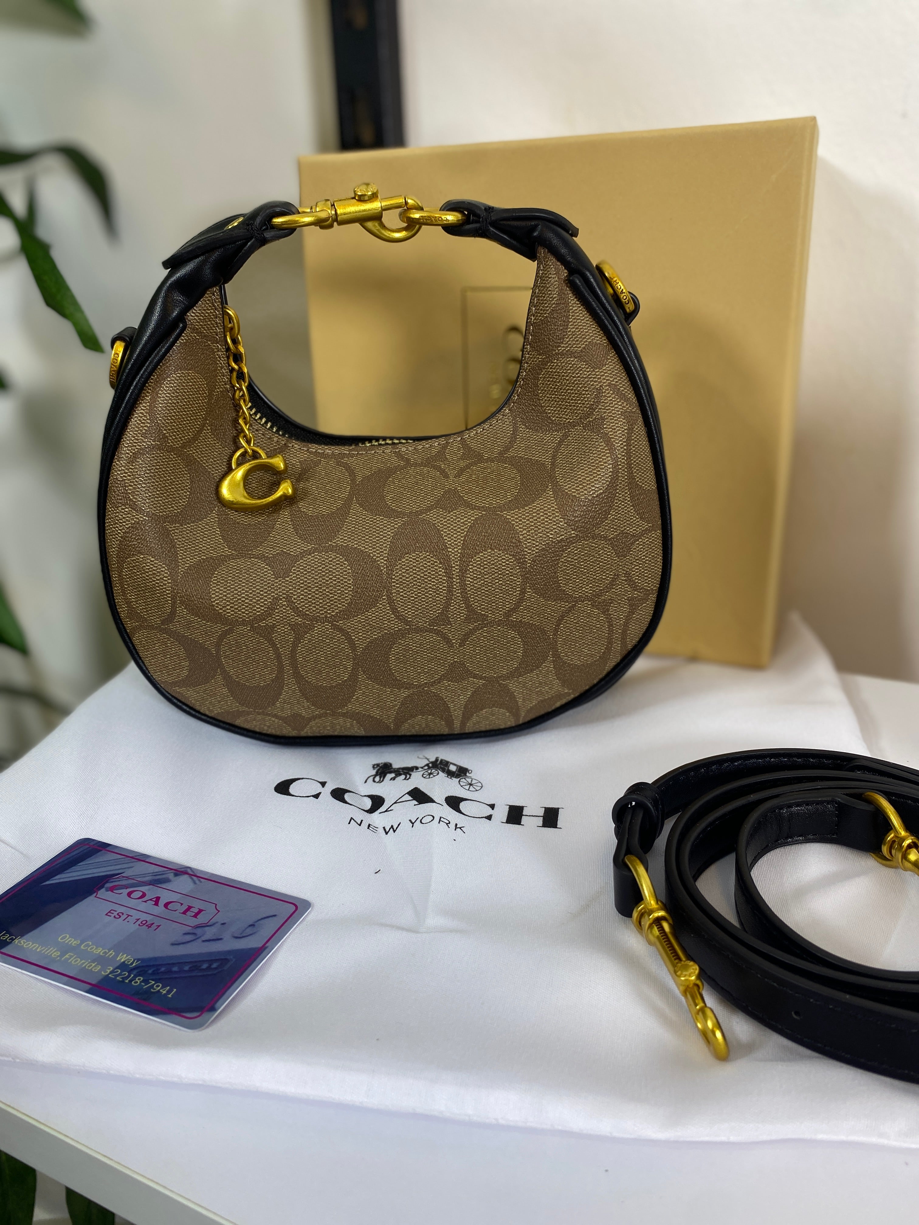 Coach Mini Luna Bag