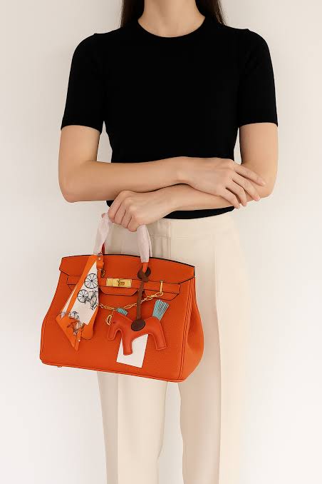 Hermès Birkin Style Bag