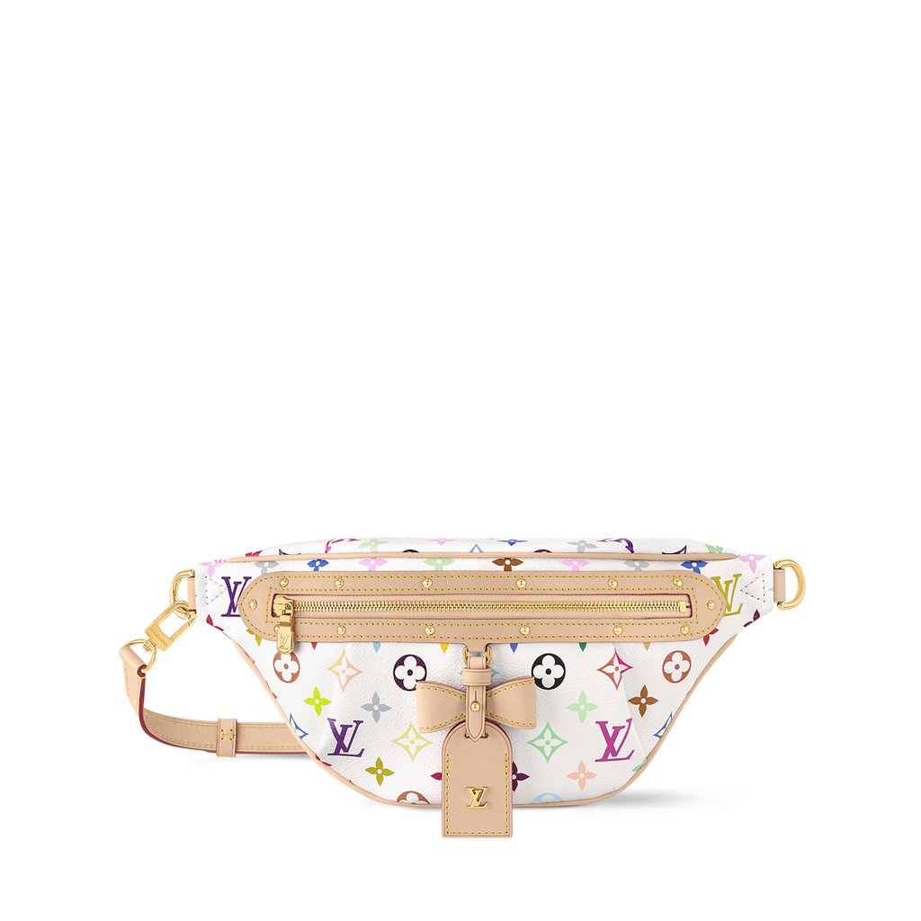 Louis Vuitton Multicolor Belt Bag