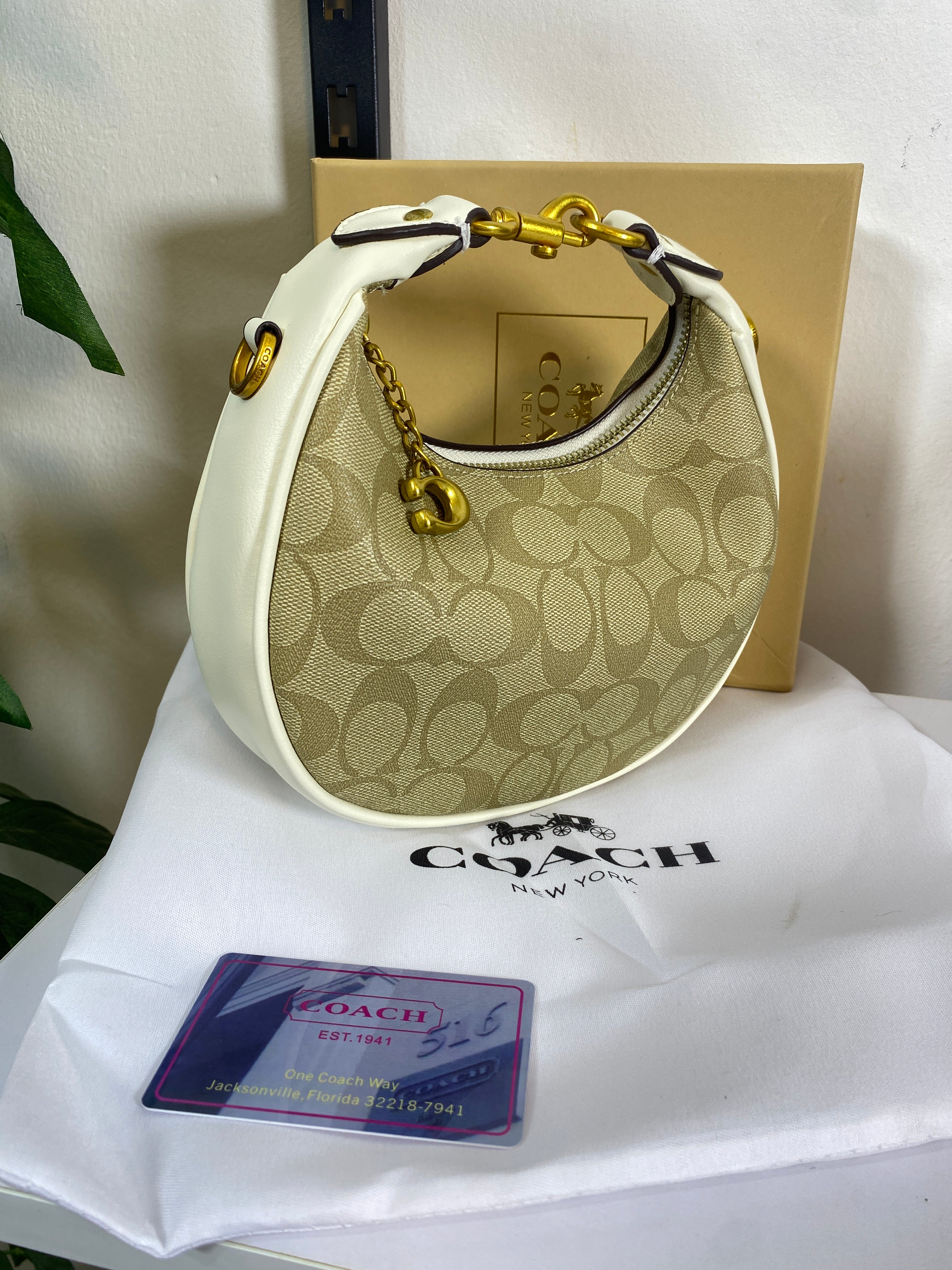 Coach Mini Luna Bag