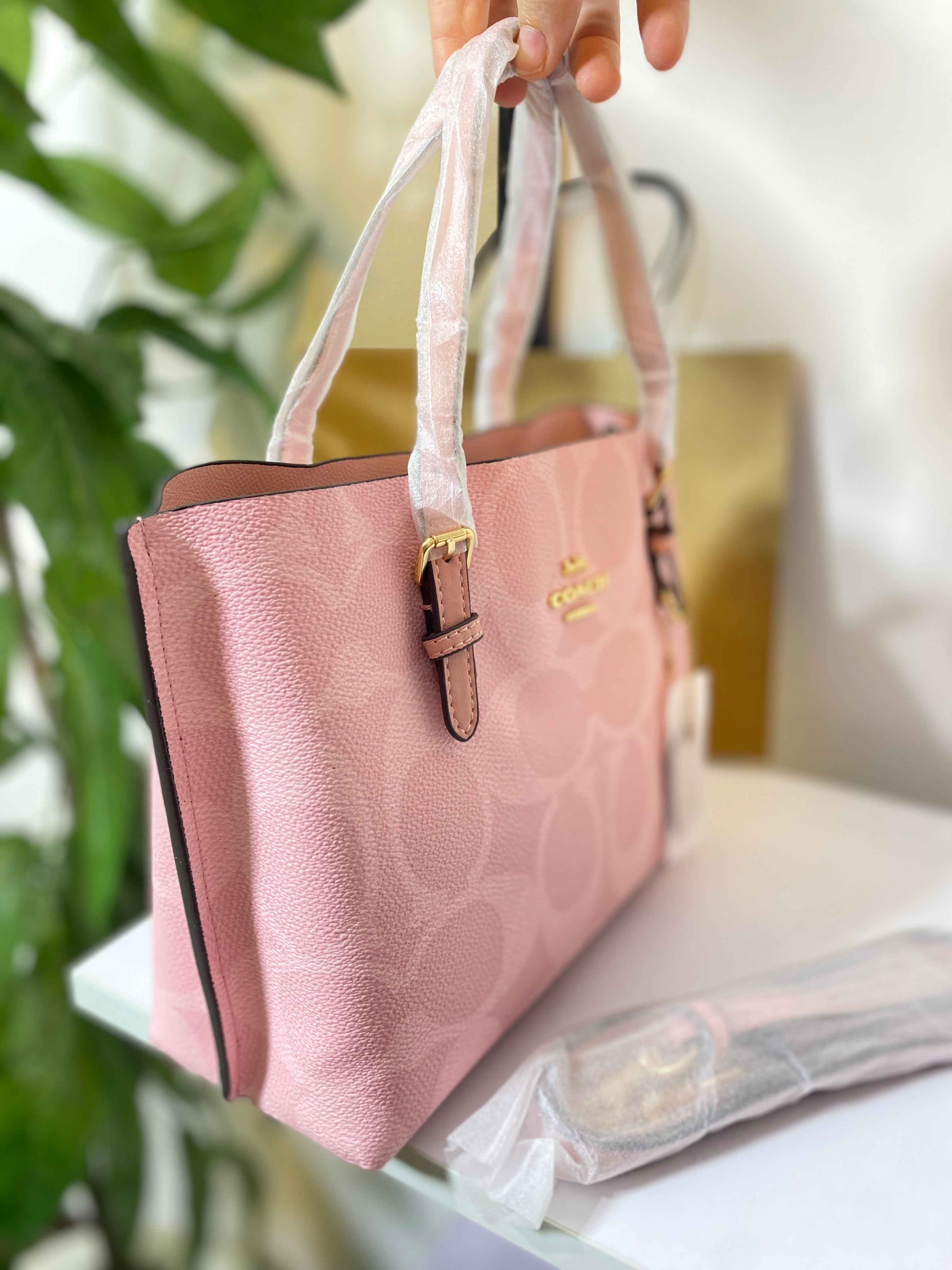 COACH Mollie Tote Bag 25 In Signature Canvas