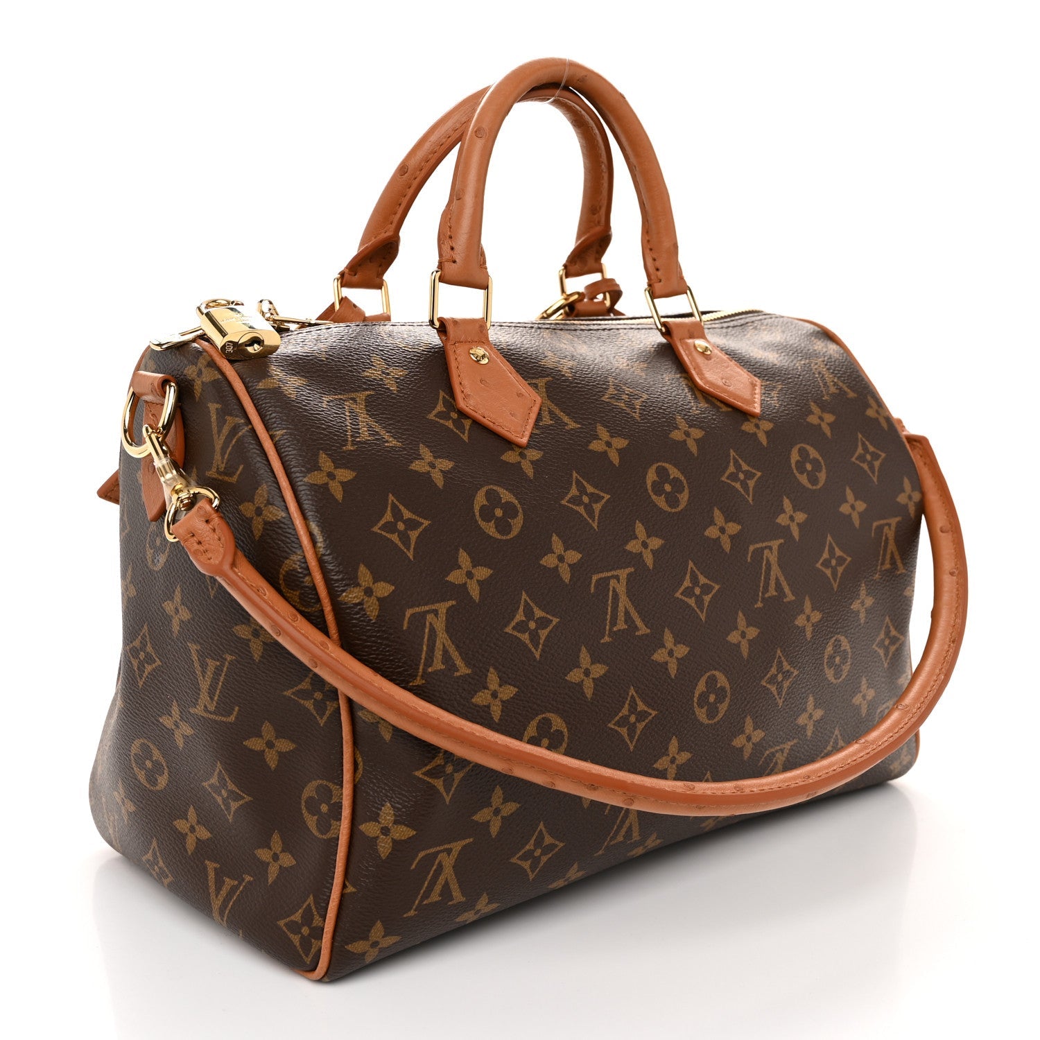 Louis Vuitton Speedy Bandoulière Monogram