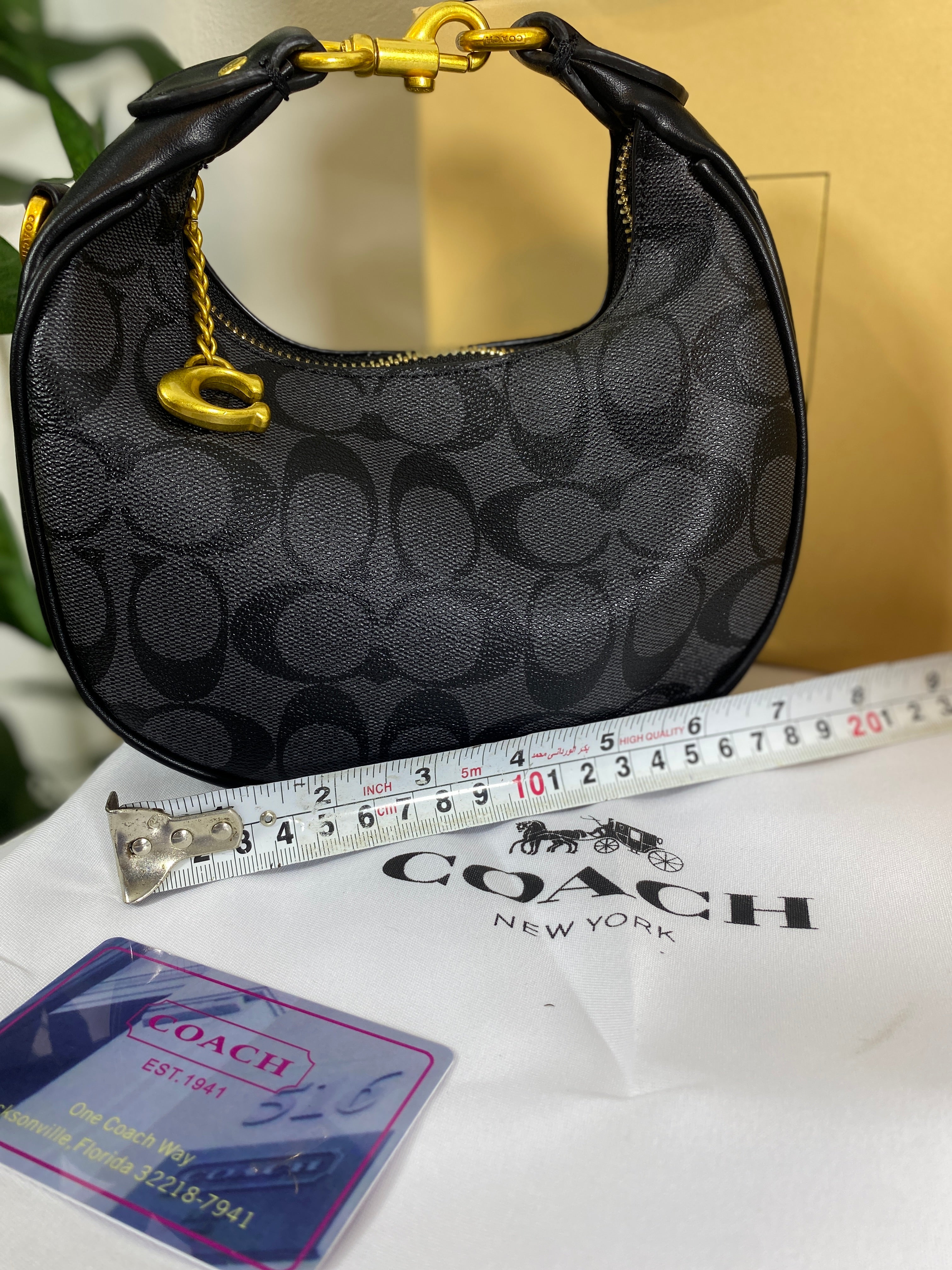Coach Mini Luna Bag