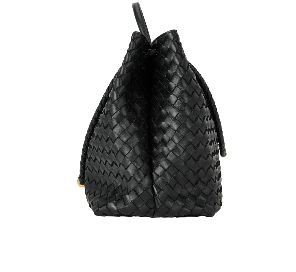 Bottega Veneta Andiamo Intrecciato Tote Bag (X Large)