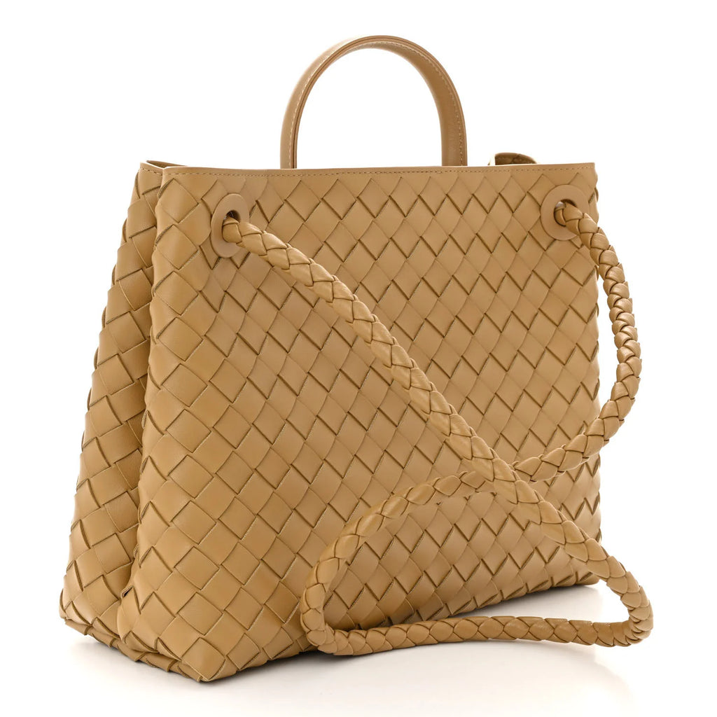 Bottega Veneta Andiamo Intrecciato Tote Bag (X Large)