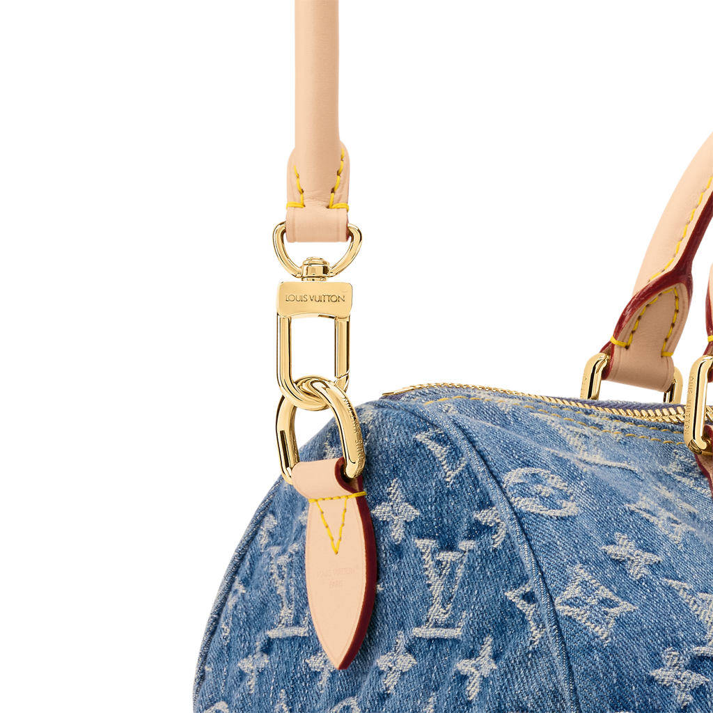 Louis Vuitton Denim Speedy