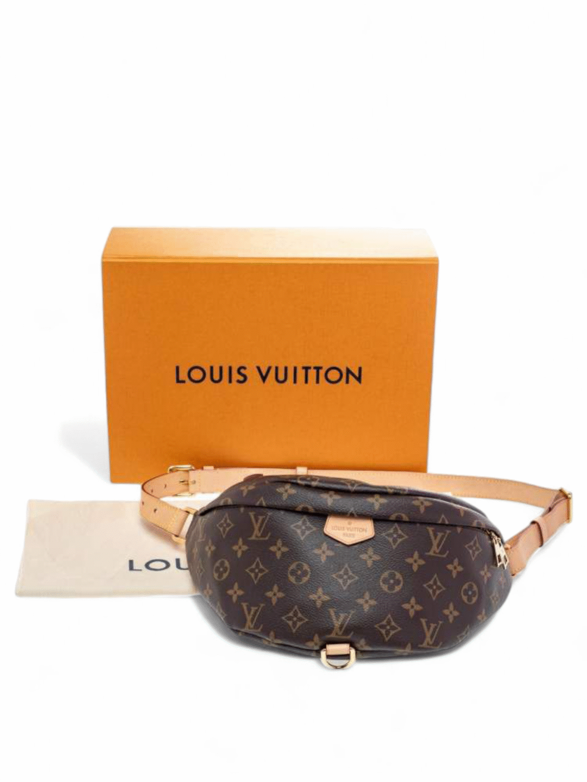 LOUIS VUITTON MONOGRAM CANVAS WAIST BUMBAG