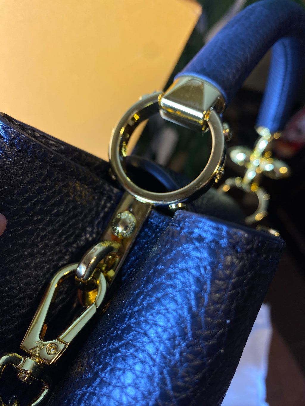 Louis Vuitton Capucines Style Bag