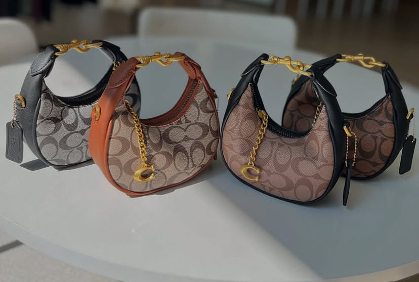 Coach Mini Luna Bag