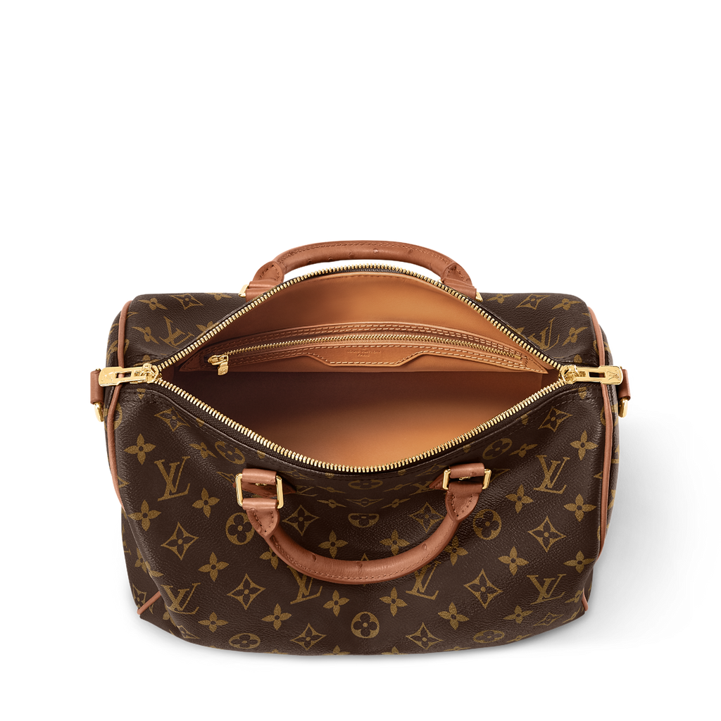 Louis Vuitton Speedy Bandoulière Monogram