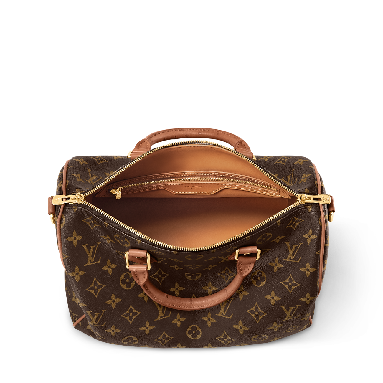 Louis Vuitton Speedy Bandoulière Monogram