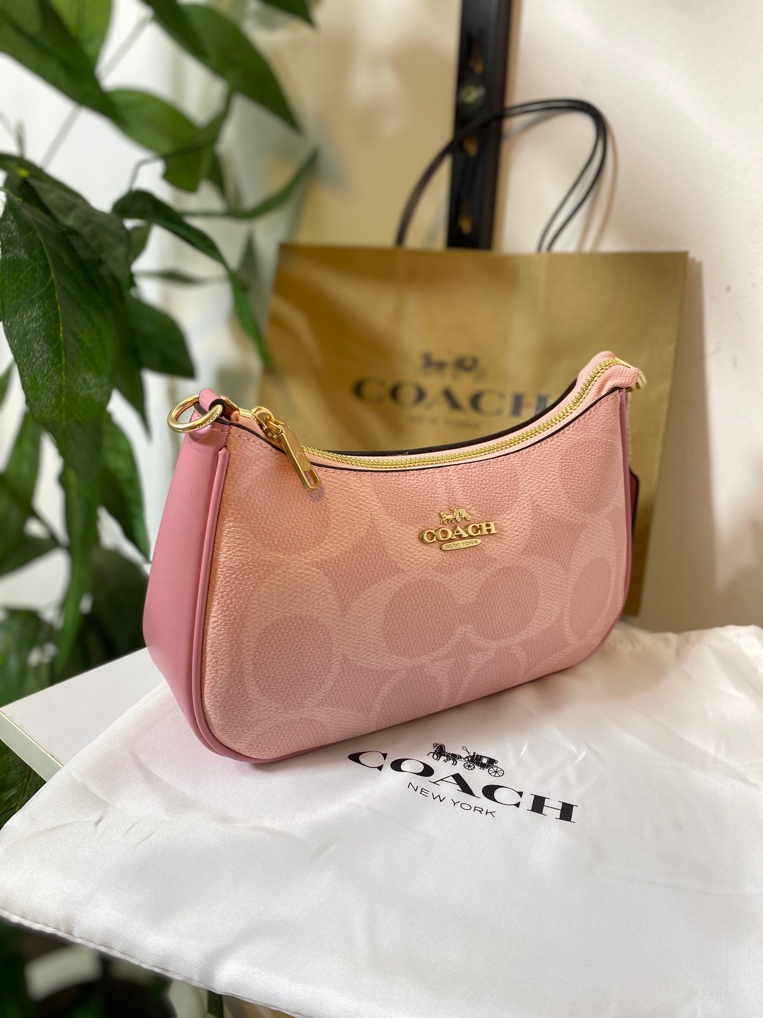 Coach Swinger Bag