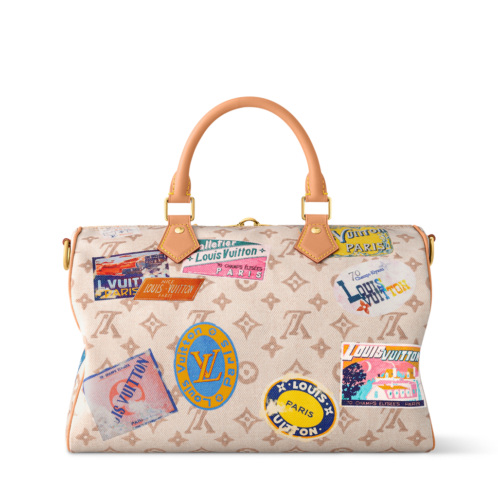 Louis Vuitton World Tour Speedy Bag