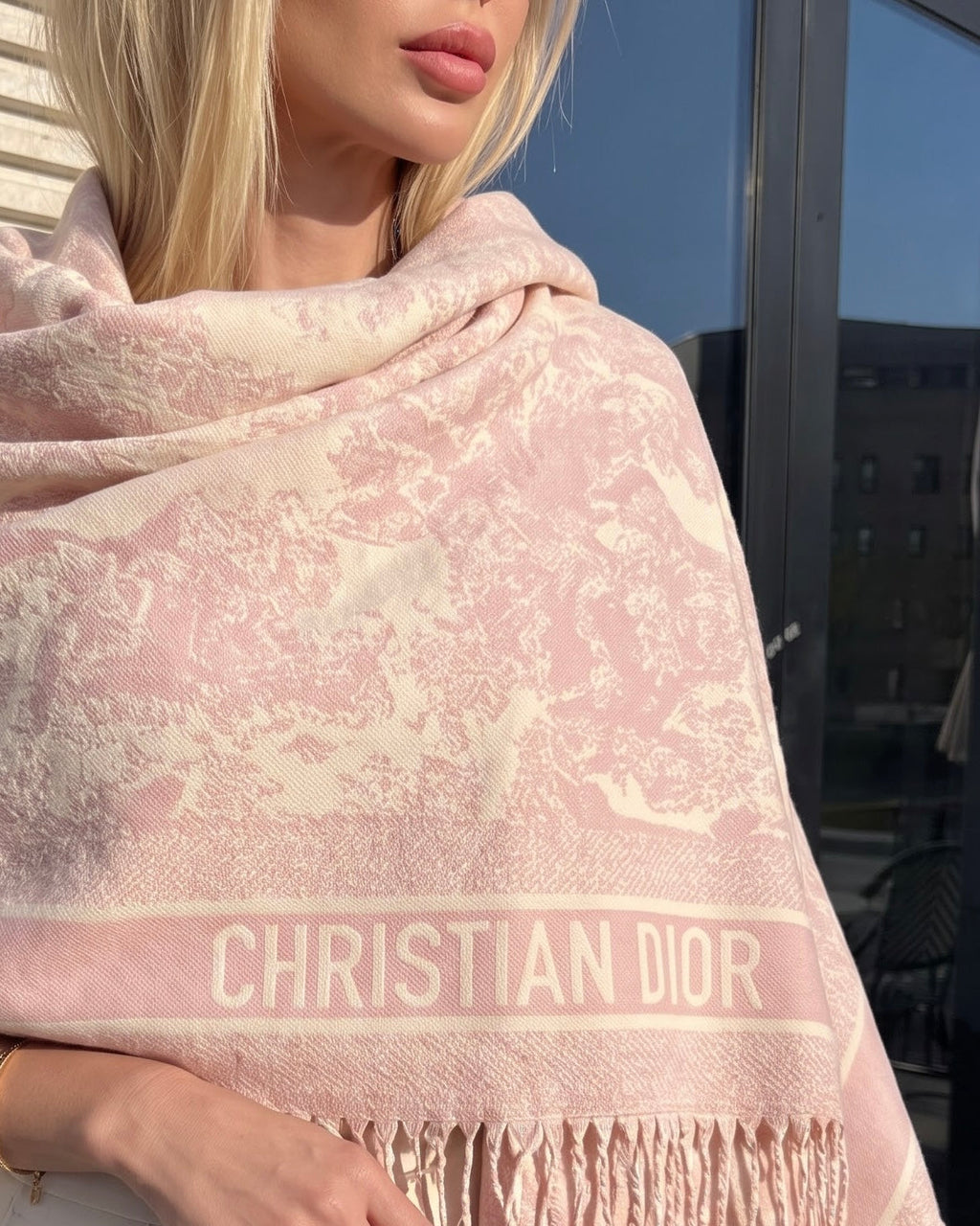 Christian Dior Toile de Jouy Fringed Scarf